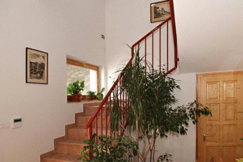 Liszt Apartman Pécs Zewnętrze zdjęcie